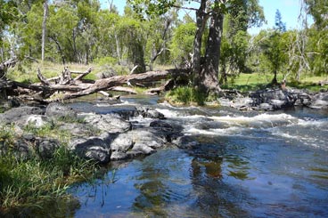 bubbling brook